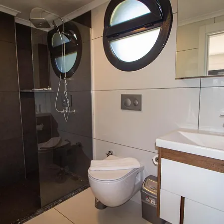 Nokta Life C Vila